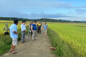 Khu vực hiện trường vụ việc 