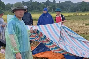 Hiện trường vụ sét đánh ở cánh đồng xã Đức Lĩnh, huyện Vũ Quang