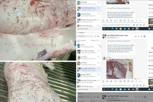 Sóc Trăng: Xác minh thông tin tuồn thịt heo, gà bẩn ra thị trường