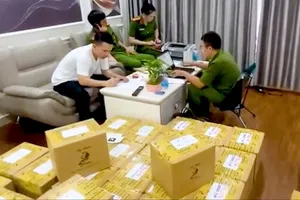Gần 6.000 sản phẩm mỹ phẩm bị thu giữ để xử lý. Ảnh: VĂN NHẤT