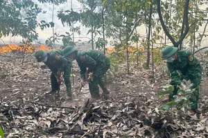 Cán bộ, chiến sĩ Đồn Biên phòng Phong Hải chữa đám cháy rừng