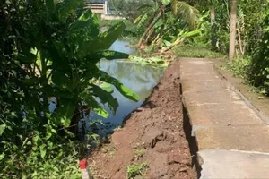 Tiền Giang, Vĩnh Long: Sạt lở cuốn trôi đường giao thông nông thôn