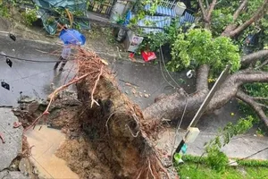 TPHCM chủ động ứng phó thiên tai mùa mưa bão