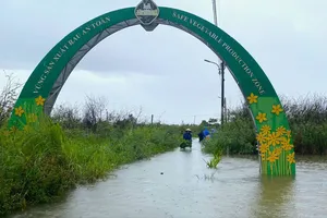 Làng rau sạch La Hường chìm trong nước ngày 12-6