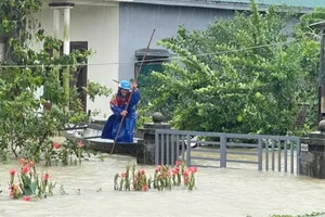 Ảnh hưởng của bão số 1, những ngày qua, tại nhiều tỉnh miền Trung và Tây Nguyên có mưa to, gió giật. Ảnh: SGGPO