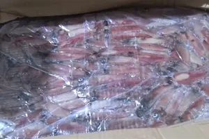 Phát hiện 9 tấn thực phẩm đông lạnh không rõ nguồn gốc ở Nha Trang