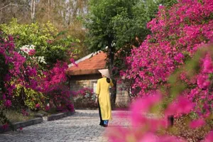 Du lịch bền vững đang trở thành ưu tiên của phần lớn du khách Việt Nam