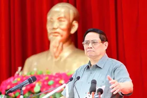 Đề án 1 triệu ha lúa chất lượng cao giúp nâng cao thương hiệu gạo Việt