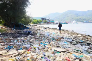 Theo ghi nhận của Phóng viên, thời gian qua, khu vực dưới chân cầu Mân Quang (phường Sơn Trà, TP Đà Nẵng) xuất hiện nhiều rác thải tấp vào bờ, tạo nên hình ảnh nhếch nhác, ô nhiễm nghiêm trọng