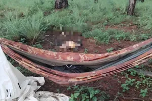 Phát hiện bộ xương người trong rừng thông ở Lâm Đồng