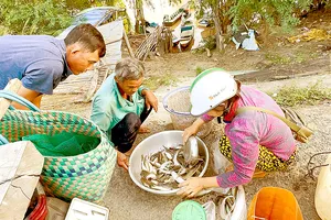 Đón lộc vàng mùa nước nổi