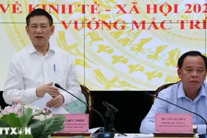 Phó thủ tướng Hồ Đức Phớc phát biểu tại buổi làm việc. (Ảnh: Công Phong/TTXVN)