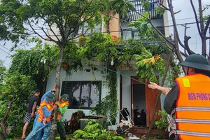 Bộ đội Biên phòng Hà Tĩnh giúp dân khắc phục thiệt hại do bão số 5