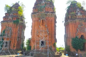 Cận cảnh 4 tòa tháp Chăm cổ đang chờ "chữa thương" ở Gia Lai