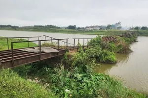 Cà Mau: Bé gái 10 tuổi bị điện giật tử vong khi đi bộ qua cầu sắt 