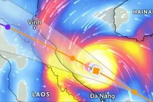 Miền Trung đề phòng gió bão giật cấp 16