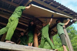 Bão số 11 đổ bộ miền Bắc: Hơn 3,4 triệu học sinh nghỉ học ngày 6-10