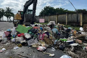 Gần 100 tấn rác được thu gom, xử lý theo quy định