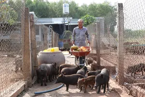 Phòng Giao dịch NHCSXH Xuyên Mộc ký kết hợp đồng ủy thác với các hội, đoàn thể