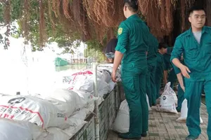 Nỗ lực ứng phó triều cường dâng cao