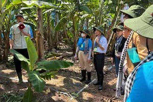 Sinh viên Lào, Campuchia học tập tại TPHCM tham quan mô hình nông nghiệp công nghệ cao