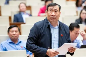 ĐB Thạch Phước Bình (Vĩnh Long). Ảnh: VIẾT CHUNG 