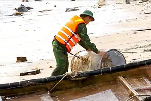 Bão số 15 chưa vào bờ đã gây thiệt hại