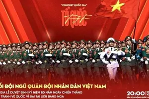 Giải Mai Vàng công bố danh sách 16 hạng mục đề cử vòng bầu chọn