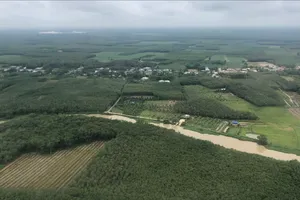 TPHCM kỳ vọng xây dựng thành công mô hình nông nghiệp đô thị xanh, hiện đại