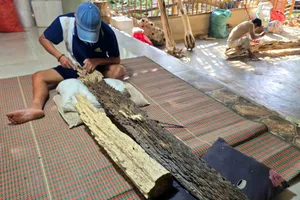 Các thợ chuyên nghiệp đang chế tác hoàn thiện khối gỗ trầm tốc bông quý hiếm 