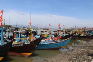 Tàu cá không đủ điều kiện neo đậu bờ tại cảng cá Tân Phước, xã Long Hải