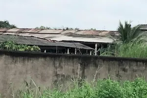 Trại gà B.H nằm trong khu dân cư, bốc mùi hôi thối sẽ bị dừng hoạt động