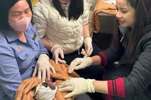 Bé trai chào đời an toàn trên tàu SE4. Ảnh: ĐSVN