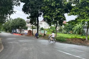 Một khu dân cư tại xã Bình Hưng, TPHCM