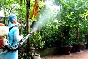 Phun hóa chất diệt muỗi. Ảnh minh họa