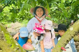 Cùng nông dân nâng tầm ca cao vùng đất đỏ của TPHCM