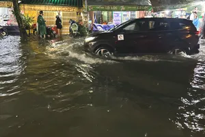 TPHCM rà soát, hoàn thiện phương án phòng, chống thiên tai năm 2026