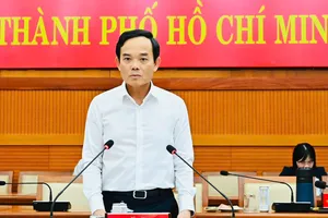 Bí thư Thành ủy TPHCM Trần Lưu Quang chủ trì họp Ban Chỉ đạo bầu cử thành phố