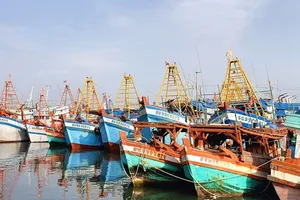 TPHCM kiểm soát chặt tàu cá xuất, nhập cảng