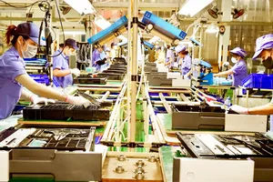 EU rộng cửa cho hàng Việt