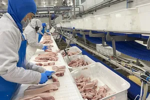 Không lo thiếu thịt heo dịp Tết Bính Ngọ