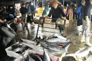 Không khí tại cảng cá Thọ Quang vào những ngày cuối năm vô cùng nhộn nhịp 