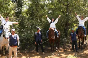 Quảng Ngãi: Cưỡi ngựa giữa rừng già thu hút du khách