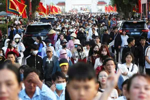 Gia Lai kỷ niệm 255 năm Khởi nghĩa Nông dân Tây Sơn