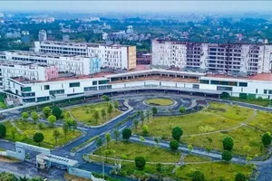 Một cựu giám đốc chiếm đoạt 2 triệu USD khi được nhờ "chạy" cho đoàn kiểm tra