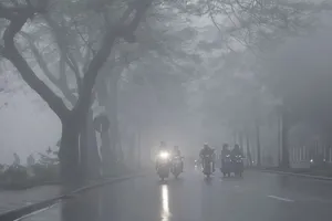 Đề nghị 22 tỉnh, thành ứng phó không khí lạnh, gió mạnh trên biển