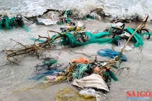 Tìm giải pháp giảm rác thải nhựa tại các vùng biển Việt Nam