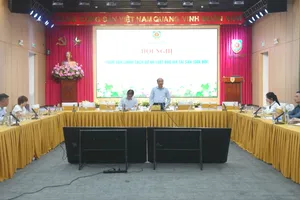 Rà soát, sửa đổi quy định đối tượng bị cấm tham gia đấu giá