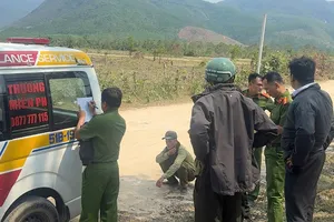 Gia Lai: Ong đốt 1 người tử vong, 4 người nhập viện