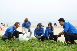 Các tình nguyện viên dọn vệ sinh bờ biển Đà Nẵng.. Ảnh: XUÂN QUỲNH